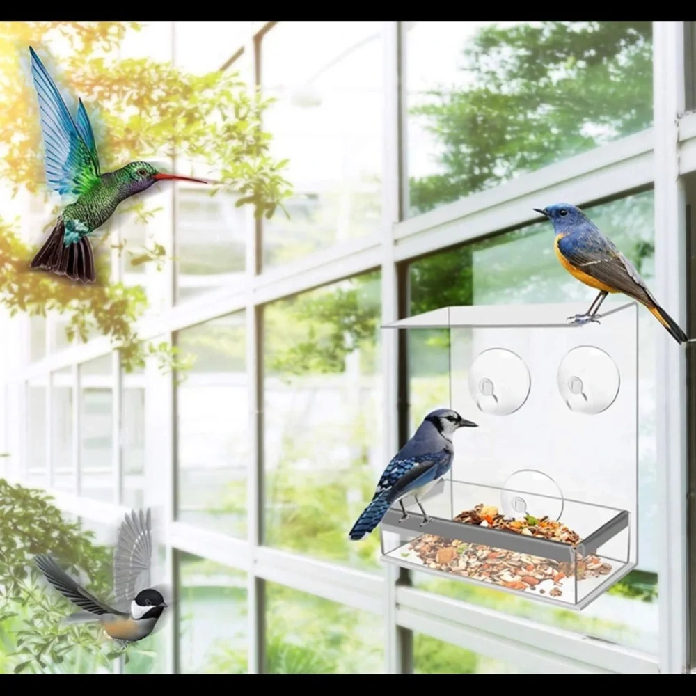 Window Bird Feeder With 5lbs Of Birdseed!